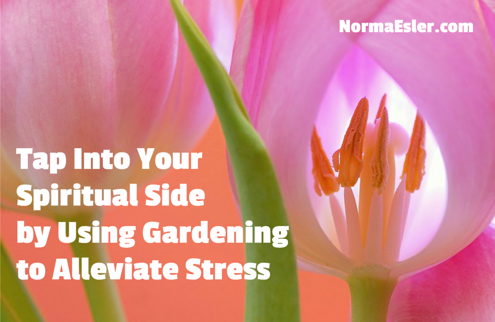 Gardening to Alleviate Stress