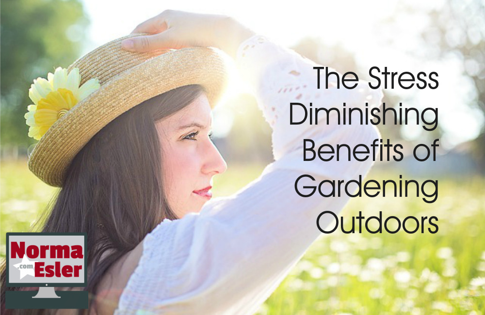 Stress Diminishing Benefits of Gardening Outdoors