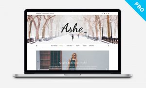 Ashe Pro Theme for WordPress